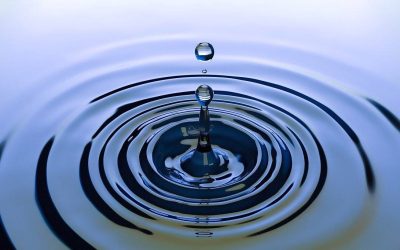 The Ripple Effect: Beyond the Bottom Line