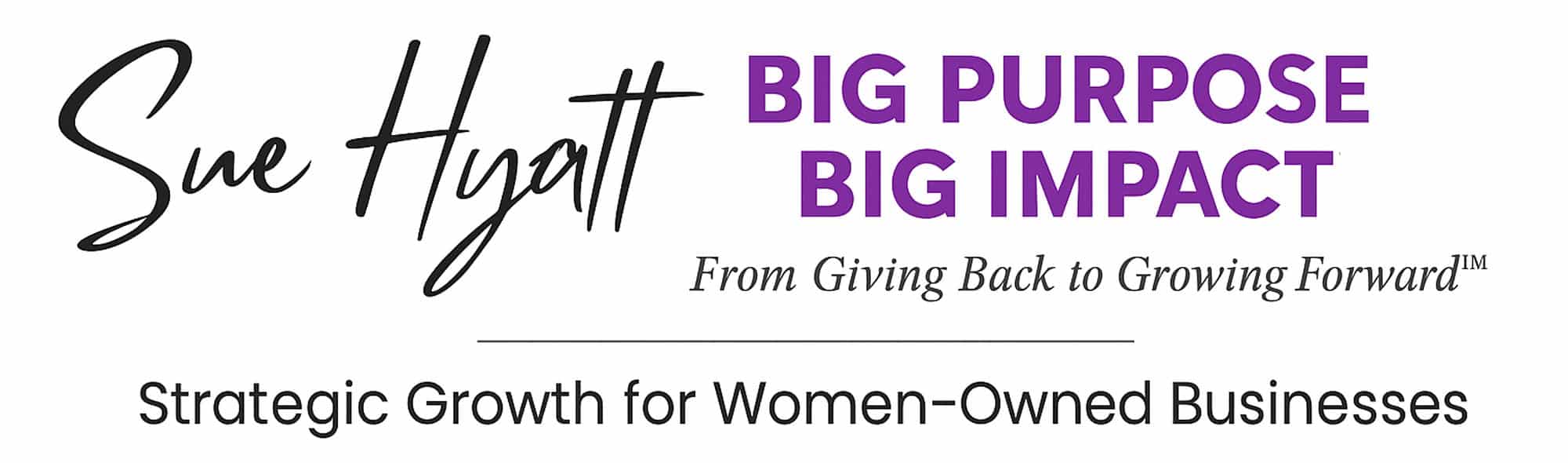 Big Purpose Big Impact Ltd logo